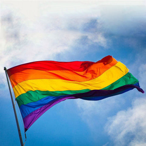 Rainbow Flag Banners Pro Lesbian Gay Pride LGBTI Flag Polyester 90x150cm